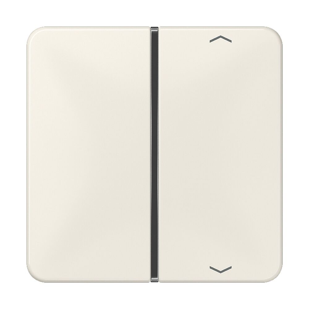 Jung Taste 1fach CD 401 TSAP