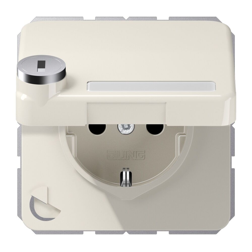 Jung Schutzkontakt Steckdose CD 1520 NAKLSL