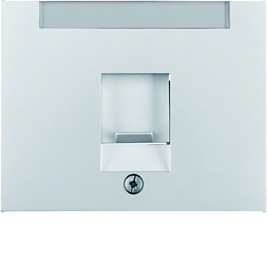 Berker Zentralstück 11707003 