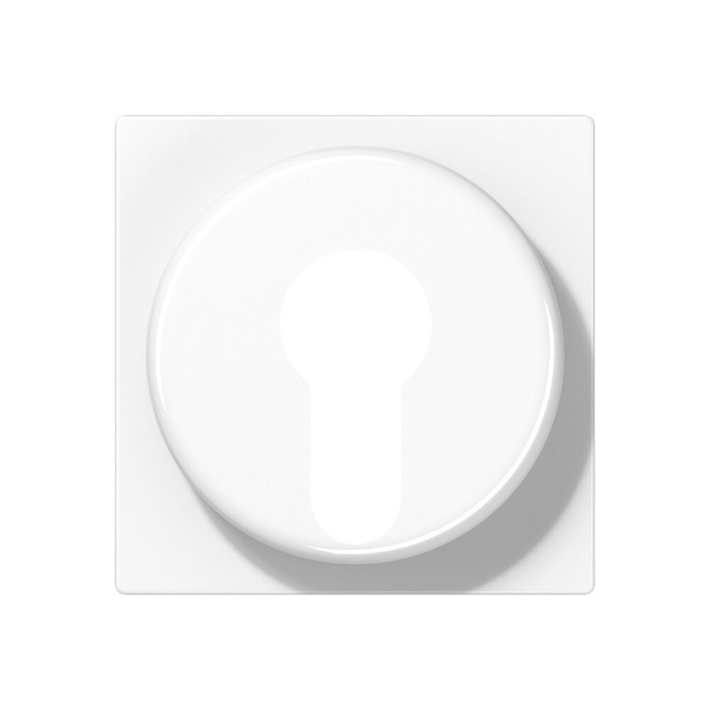 Jung Abdeckung Schlüsselschalter A 528 PL WW