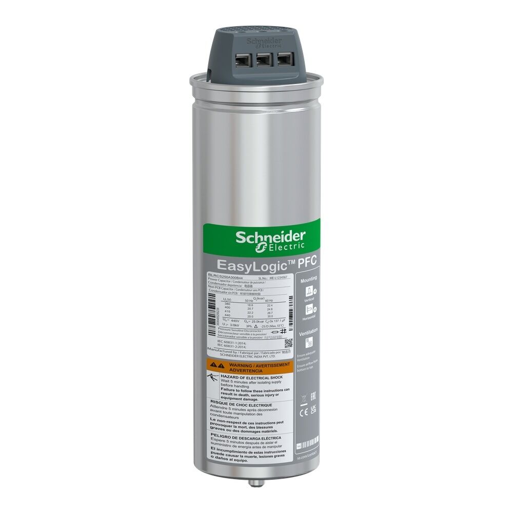 Schneider Electric Kondensator BLRCS250A300B44