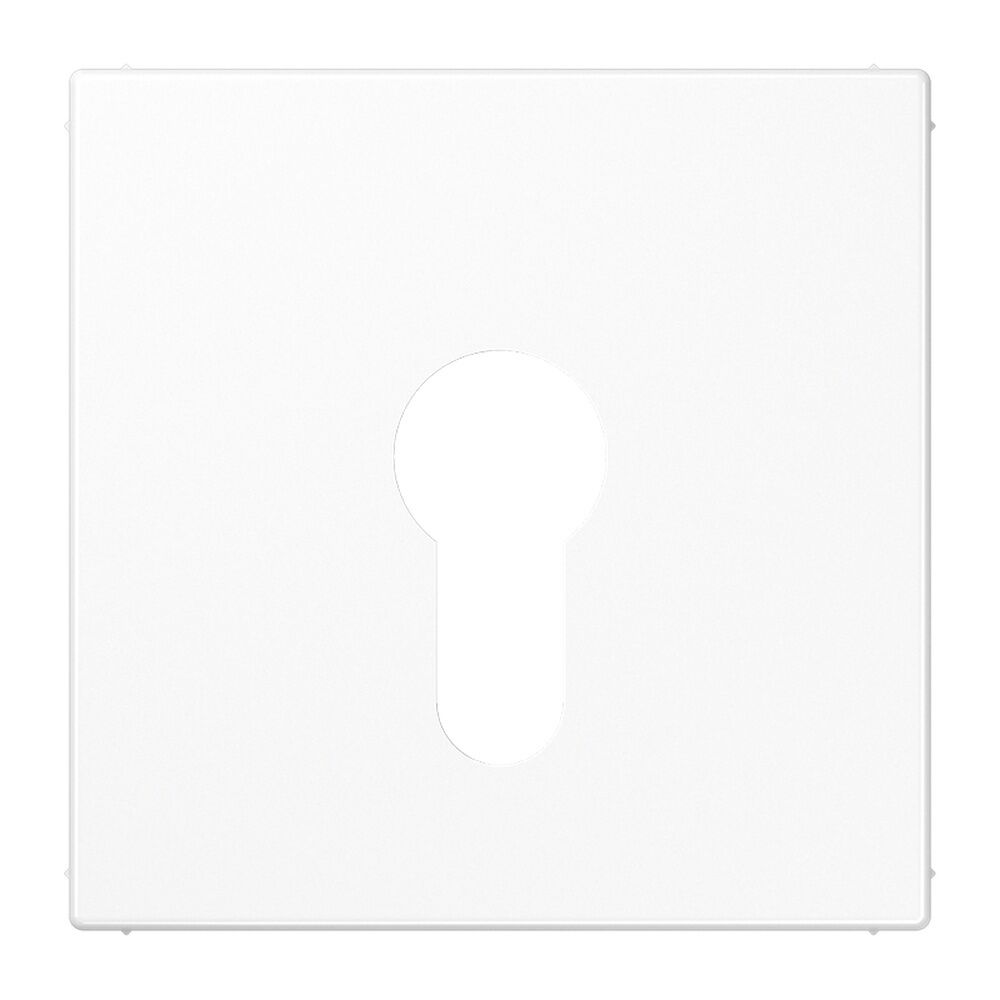 Jung Abdeckung Schlüsselschalter LS 925 WW