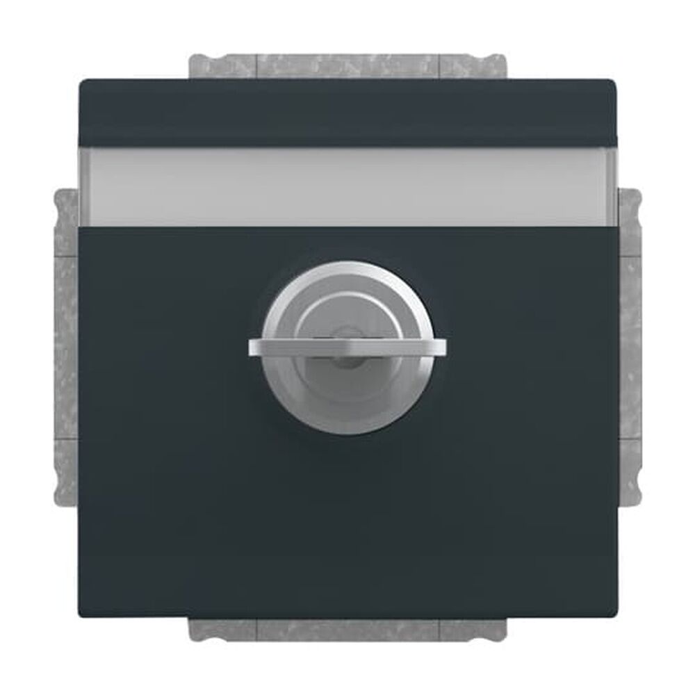 Busch-Jaeger SCHUKO Steckdosen Einsatz 20 EUKNBSL-81-101 Nr. 2CKA002018A1558