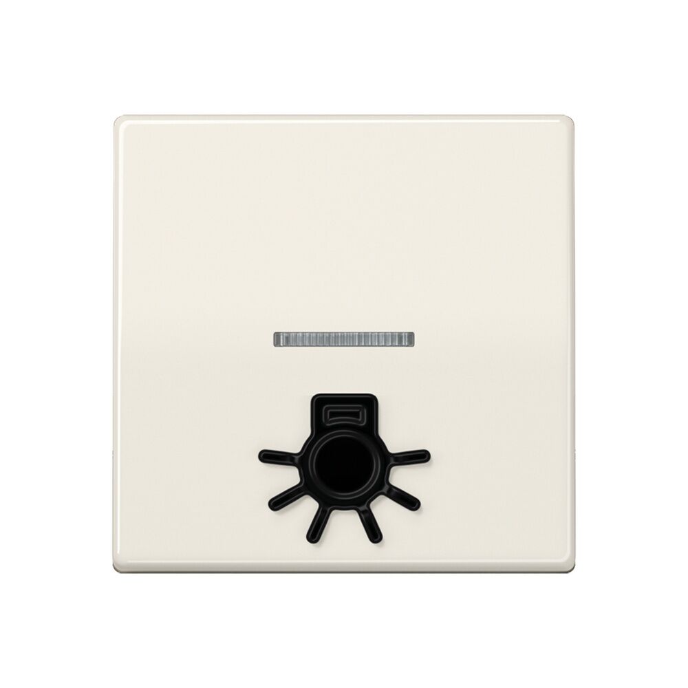 Jung Wippe AS 591 L1KO5