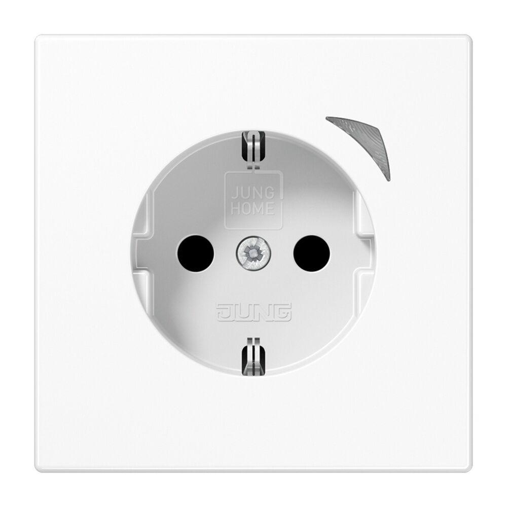 Jung JUNG HOME SCHUKO Steckdose BTLS1521SWW