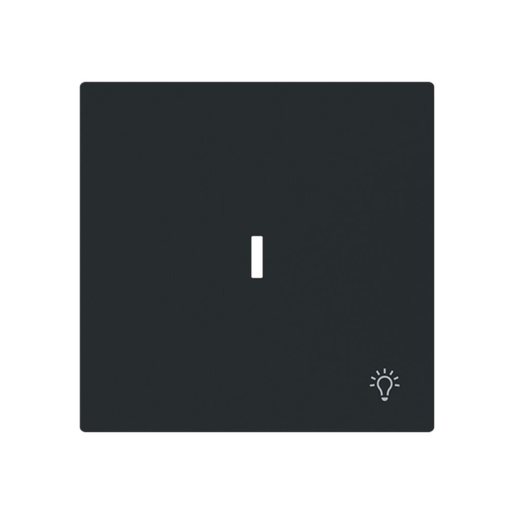 Busch-Jaeger Wippe 1789 LI-45M Typ 2CKA001751A3376