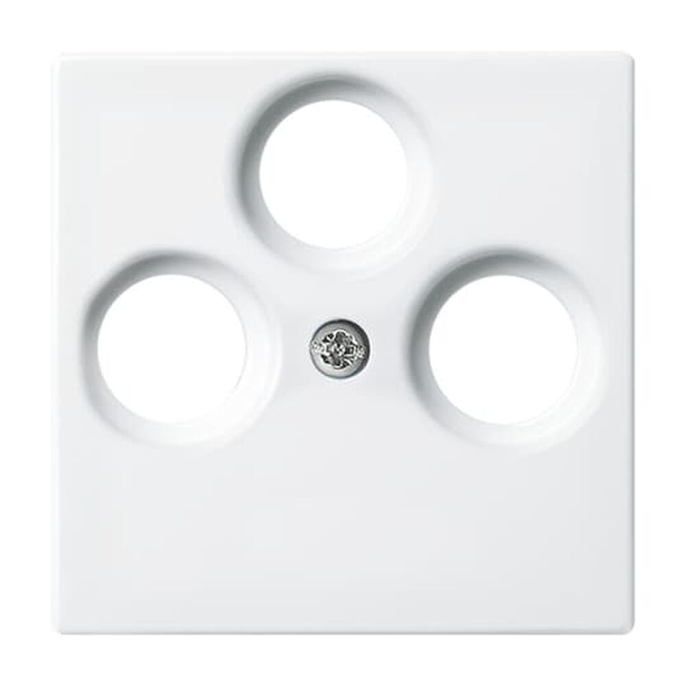 Busch-Jaeger Zentralscheibe 1743-03-914 Nr. 2CKA001724A4335 