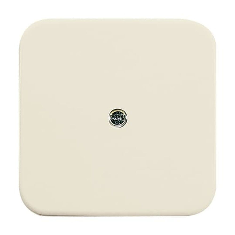 Busch-Jaeger Zentralscheibe 2536-212 Nr. 2CKA001724A0244