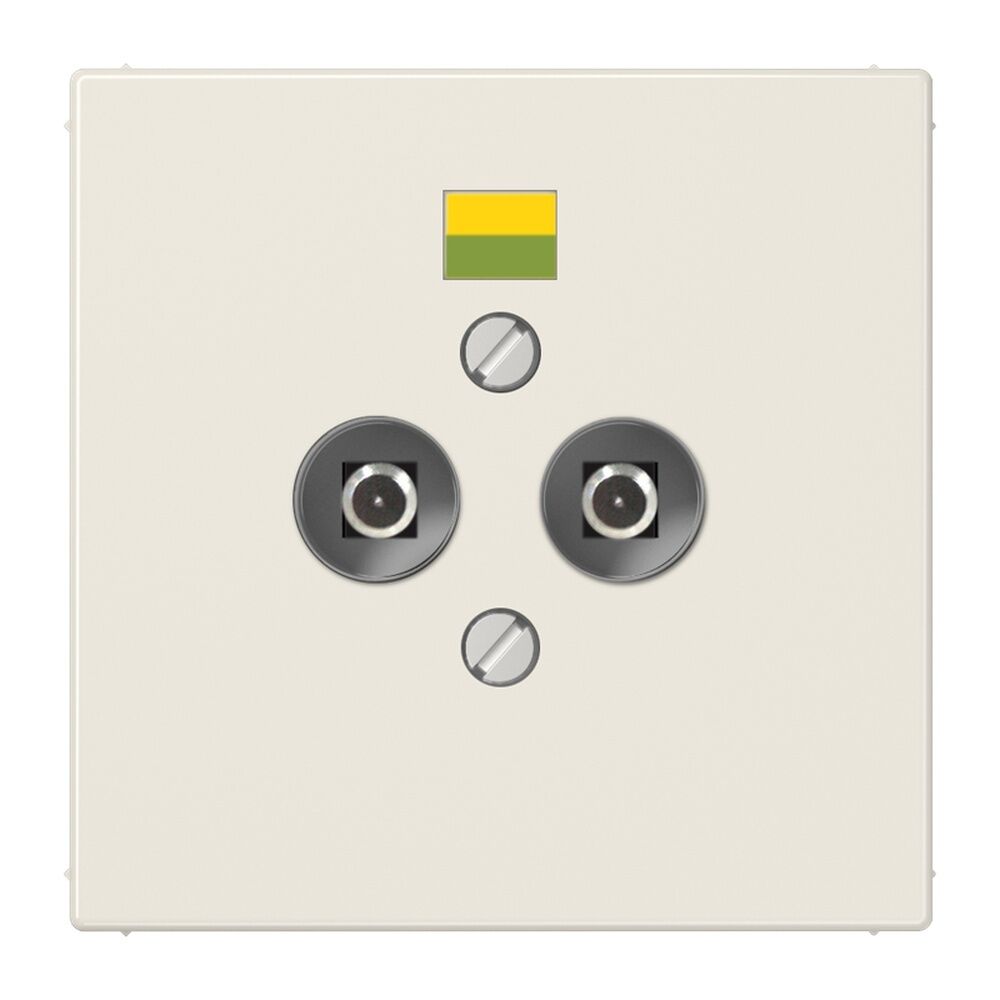 Jung Potentialausgleich Steckdose LS 965-2