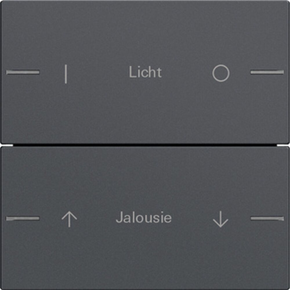 Gira Wippenset 2fach 576228