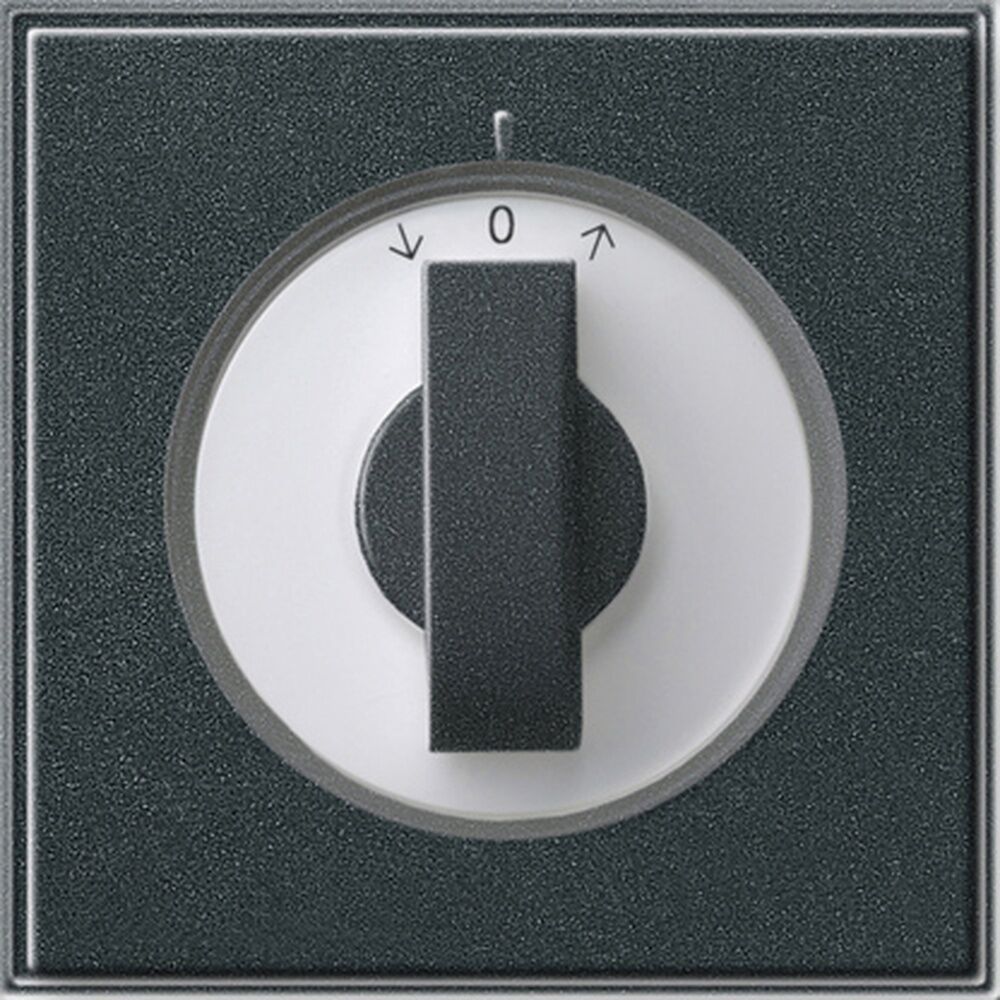 Gira Abdeckung Knebel 066667