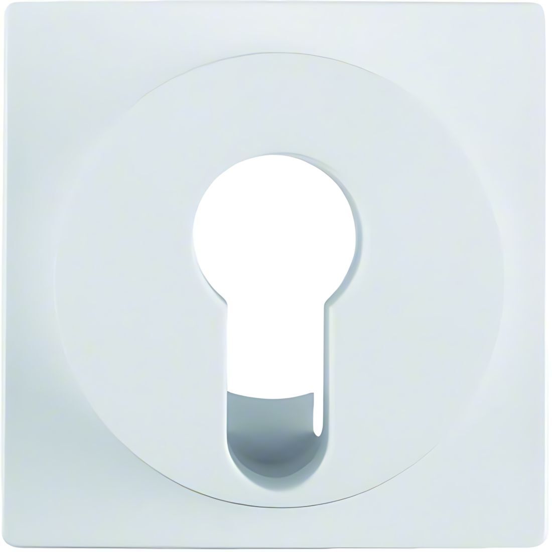 Berker Zentralstück 15071909