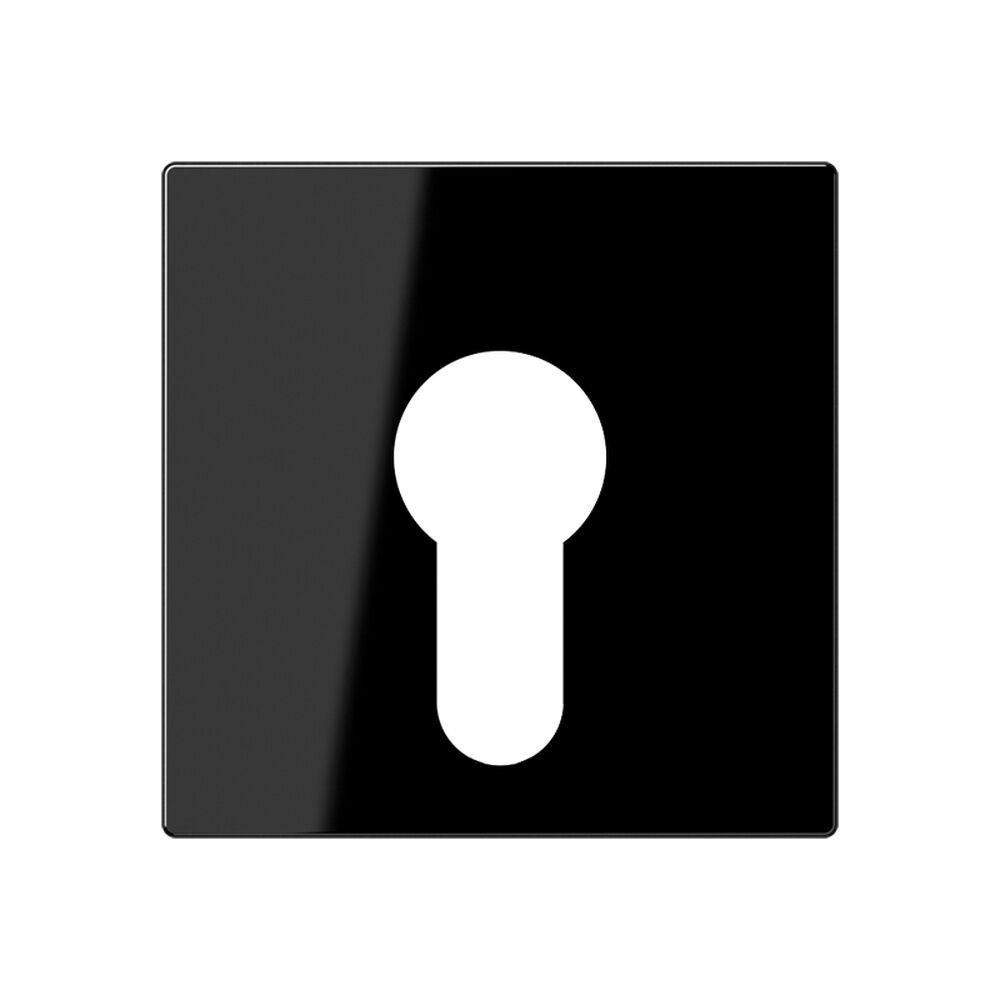 Jung Abdeckung Schlüsselschalter A 525 PL SW