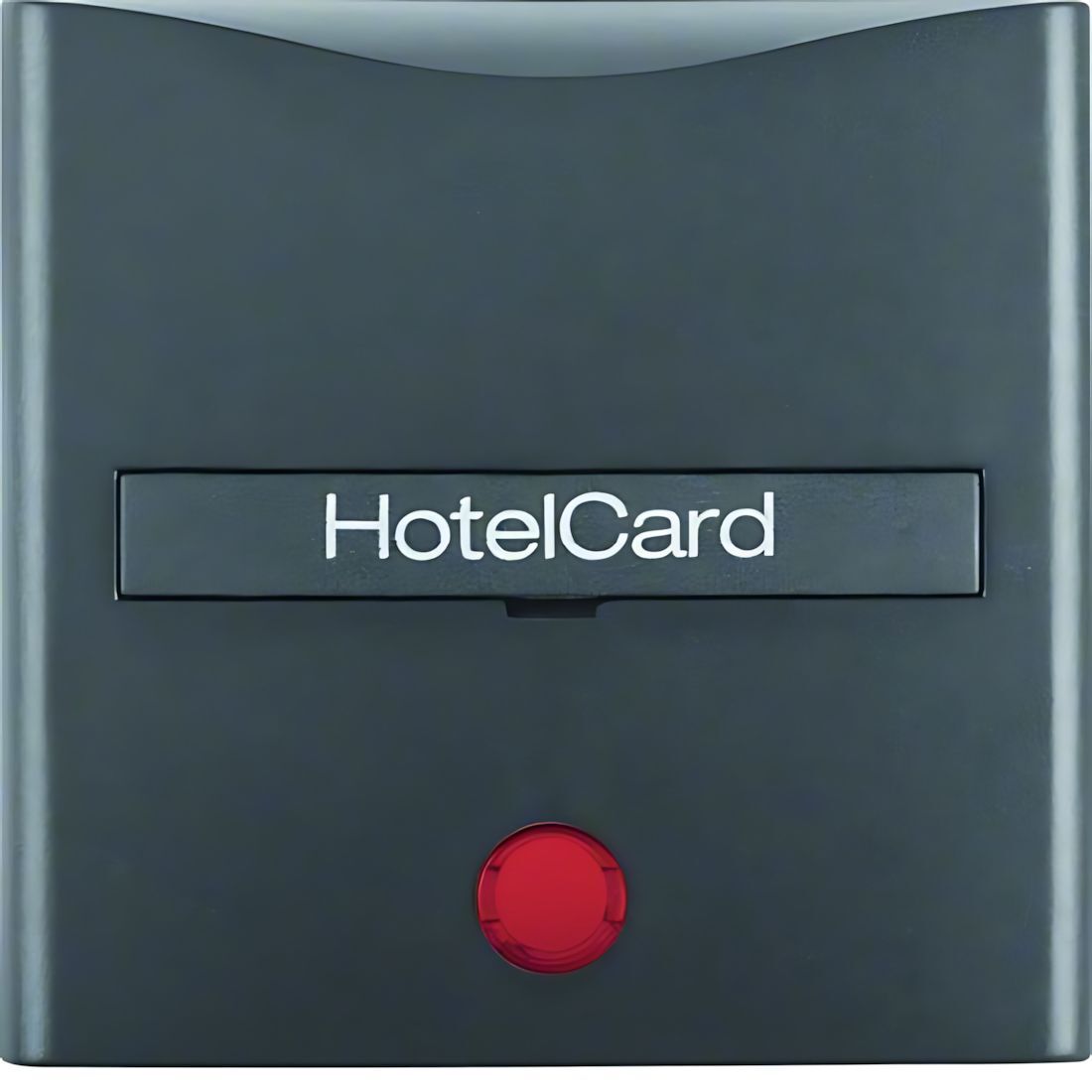 Berker Hotelcard Schaltaufsatz 16401606