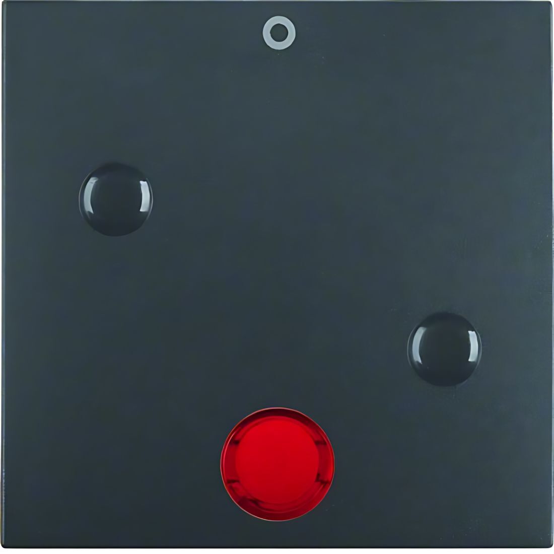 Berker Wippe 15771606