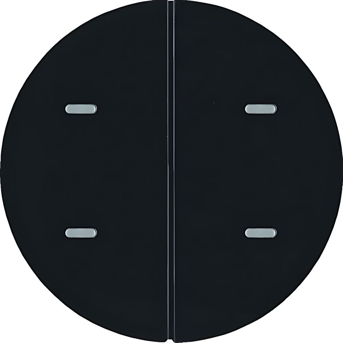 Berker Tastsensor 80162865