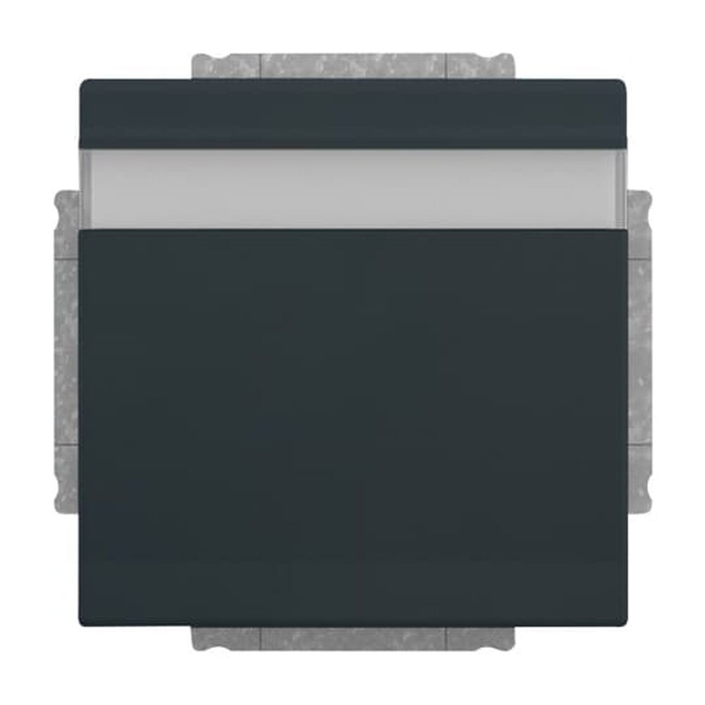 Busch-Jaeger SCHUKO Steckdosen Einsatz 20 EUKNB-81 Nr. 2CKA002018A1537