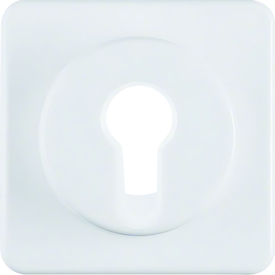 Berker Zentralstück 151919