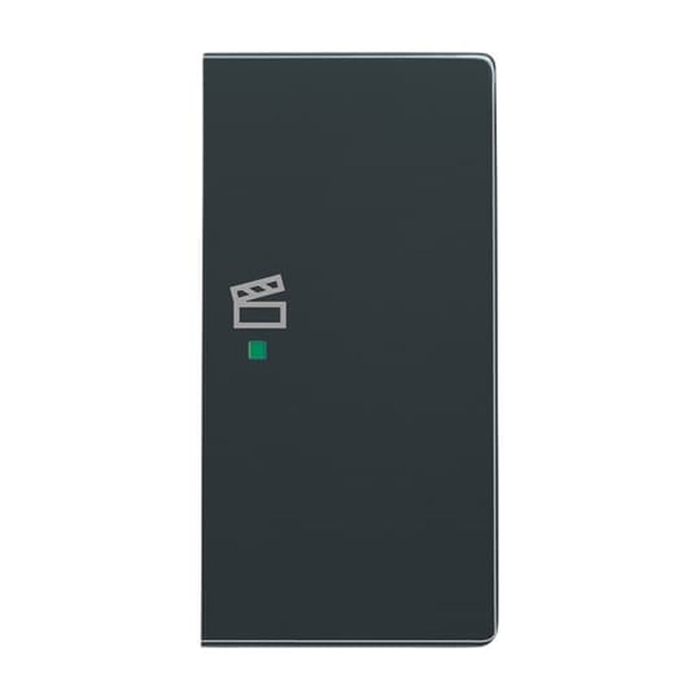 Busch-Jaeger Wippe 6233-22-81 Nr. 2CKA006220A0068