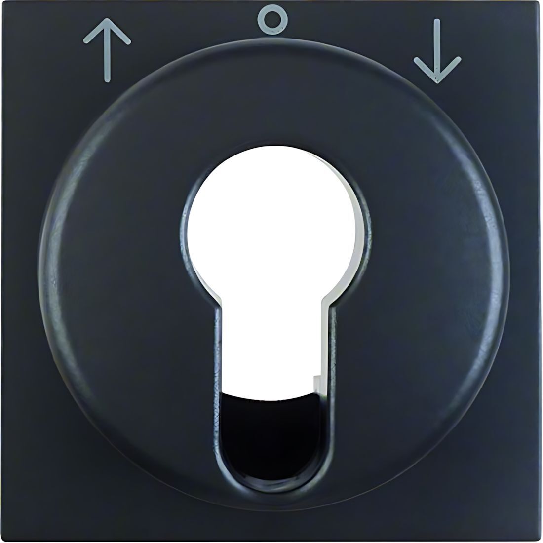 Berker Zentralstück 15061606