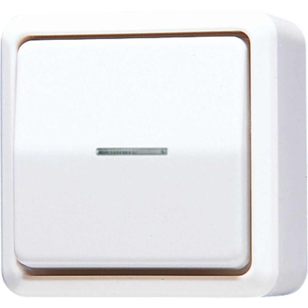 Jung Wipp Kontrollschalter 606 KO5 A WW