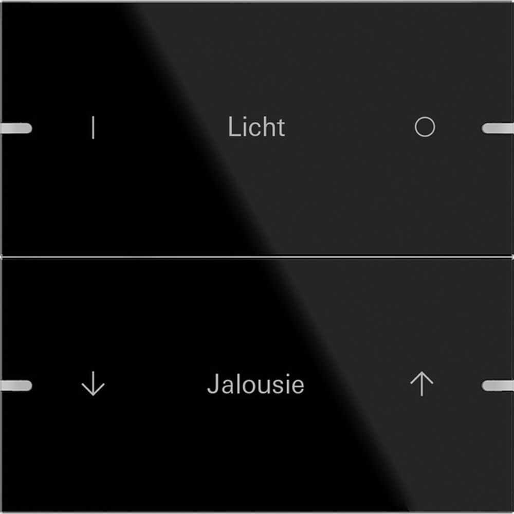 Gira Wippenset 2fach 503205