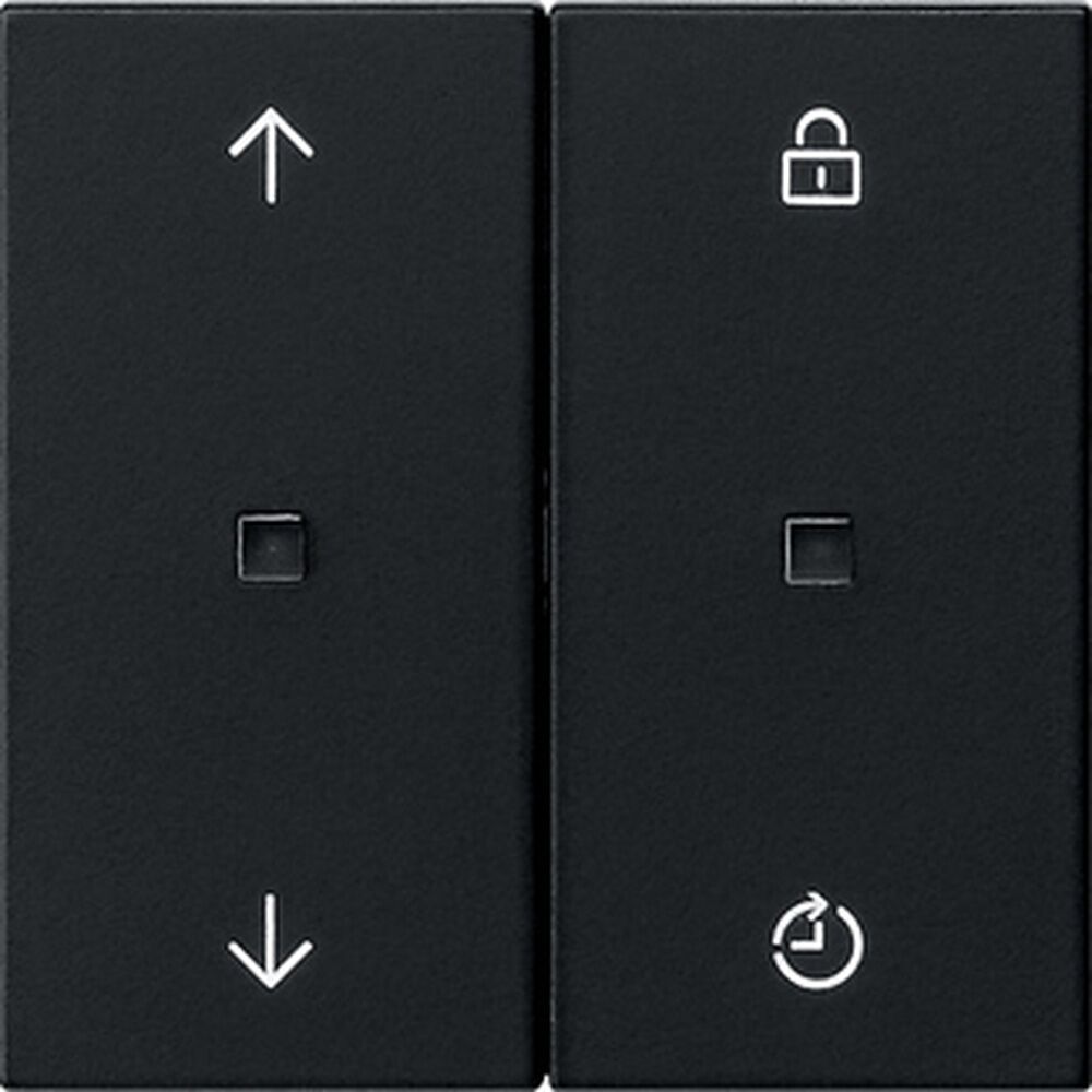 Gira eNet Funk Bedienaufsatz 5492005 