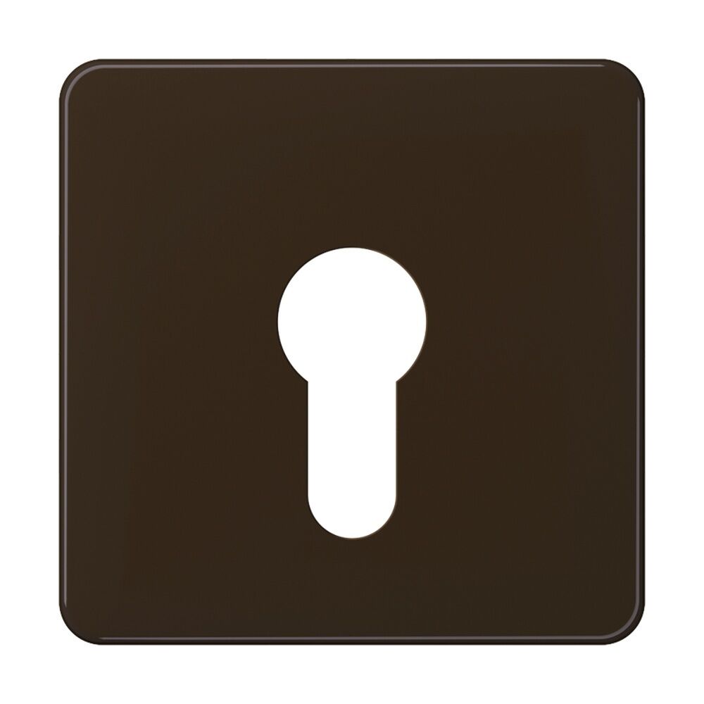 Jung Abdeckung Schlüsselschalter CD 525 BR