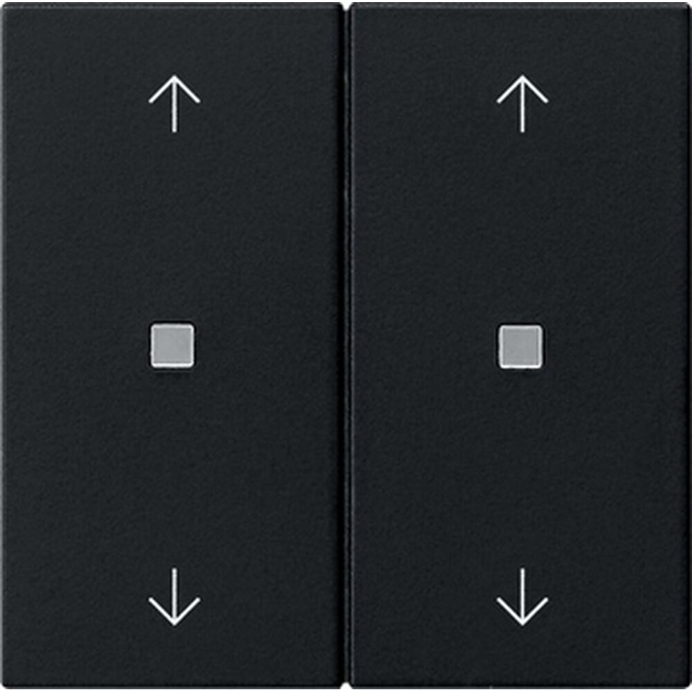 Gira Wippe 2fach 5386005