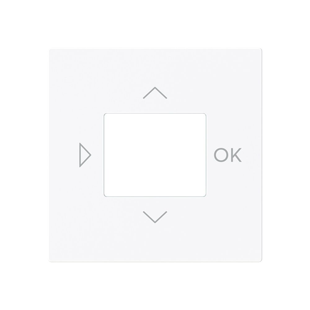 Busch-Jaeger Zentralscheibe 6435-44G Typ 2CKA006430A0450 