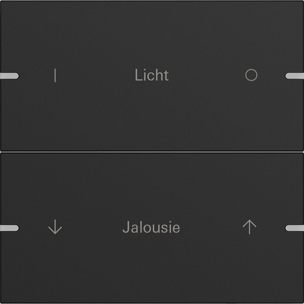 Gira Wippenset 2fach 5032905