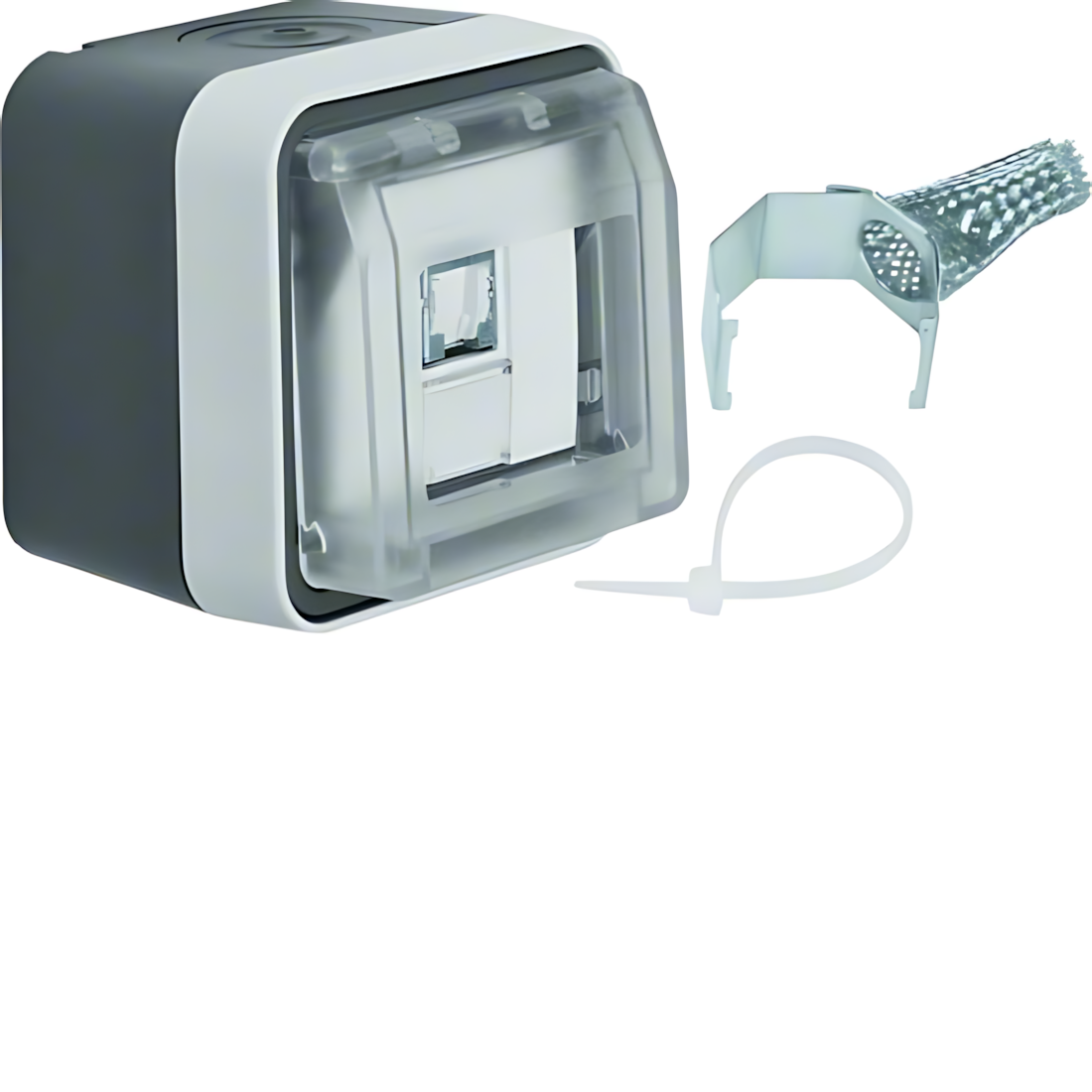 Berker UAE Steckdose 14093505