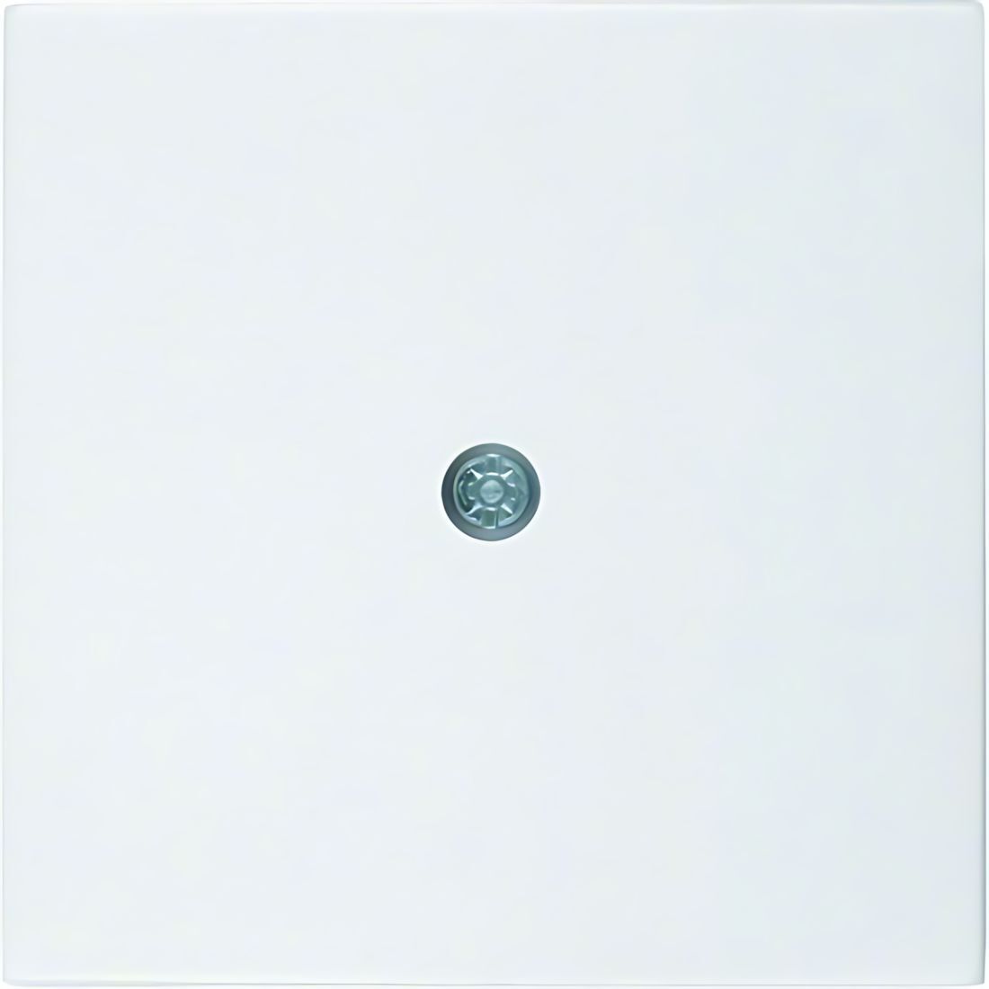 Berker Zentralstück 10198989