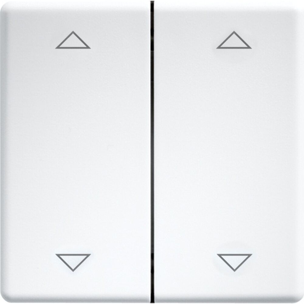 ELTAKO Doppelwippen 30000985 Typ DW-FT55-wg+2P