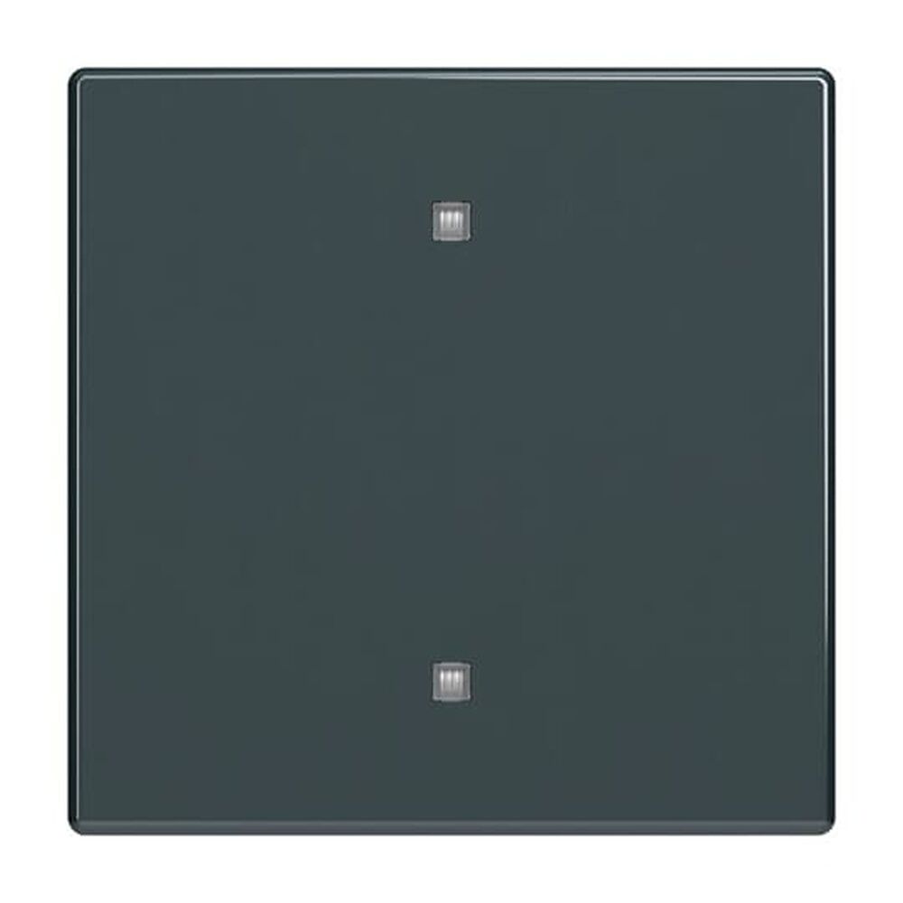 Busch-Jaeger Wippe Elektroniktaster 2570-10-81 Nr. 2CKA001751A3261