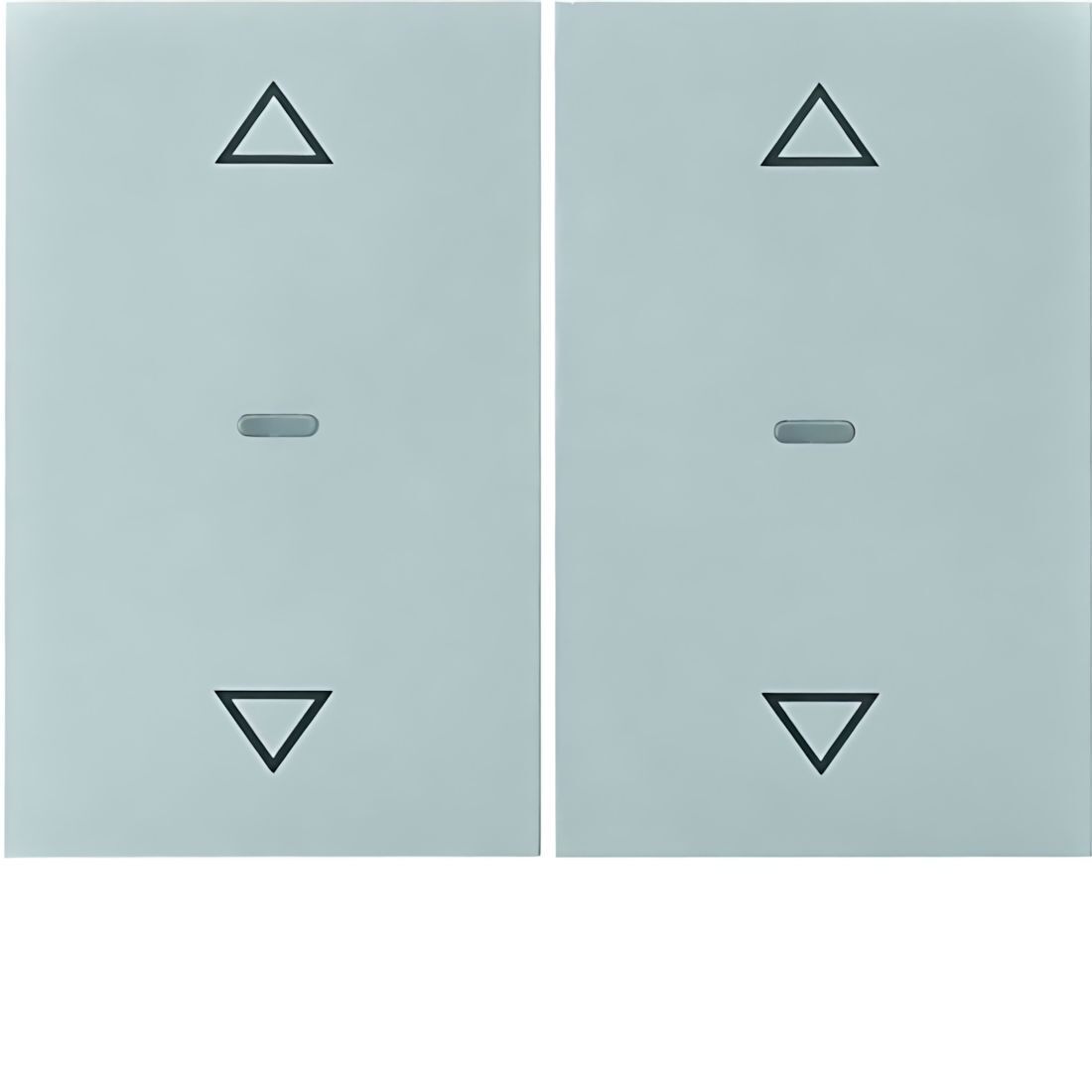 Berker Tastsensor Abdeckung 80961371