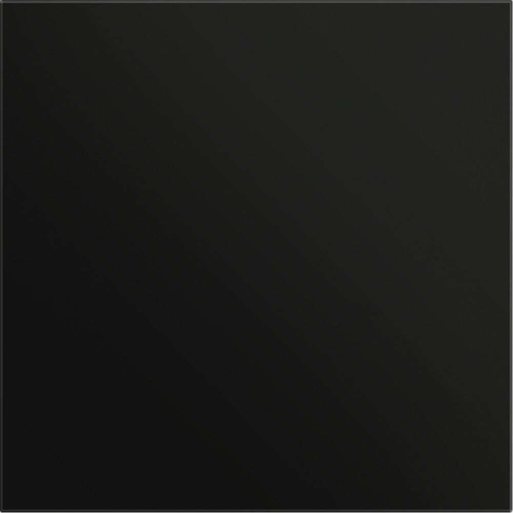 Gira Frontplatte 5554925 