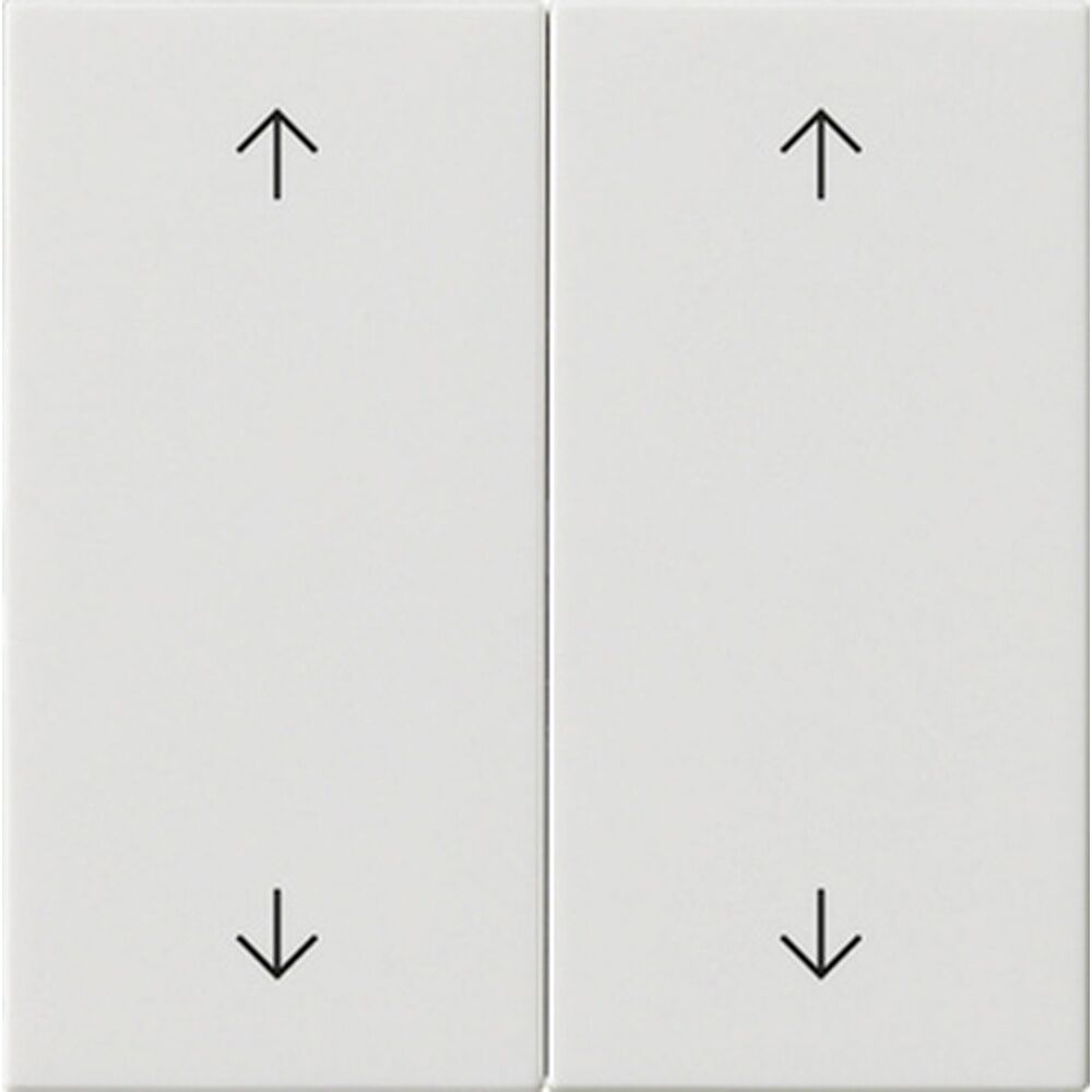 Gira Wippe 2fach 538703