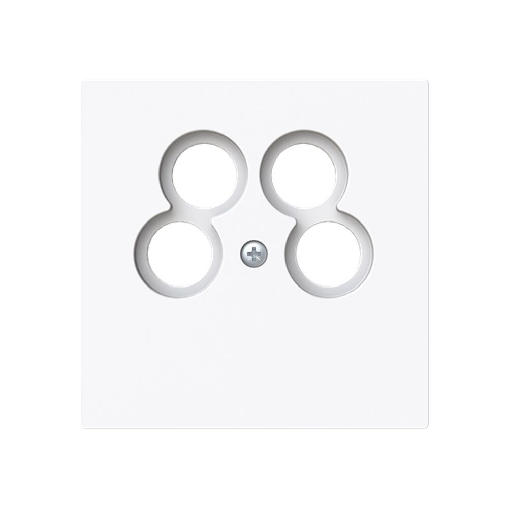 Busch-Jaeger Zentralscheibe 1743/10-04-44G Typ 2CKA001724A4440 