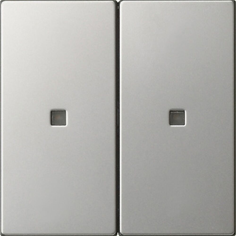 Gira Wippe 2fach 5369600