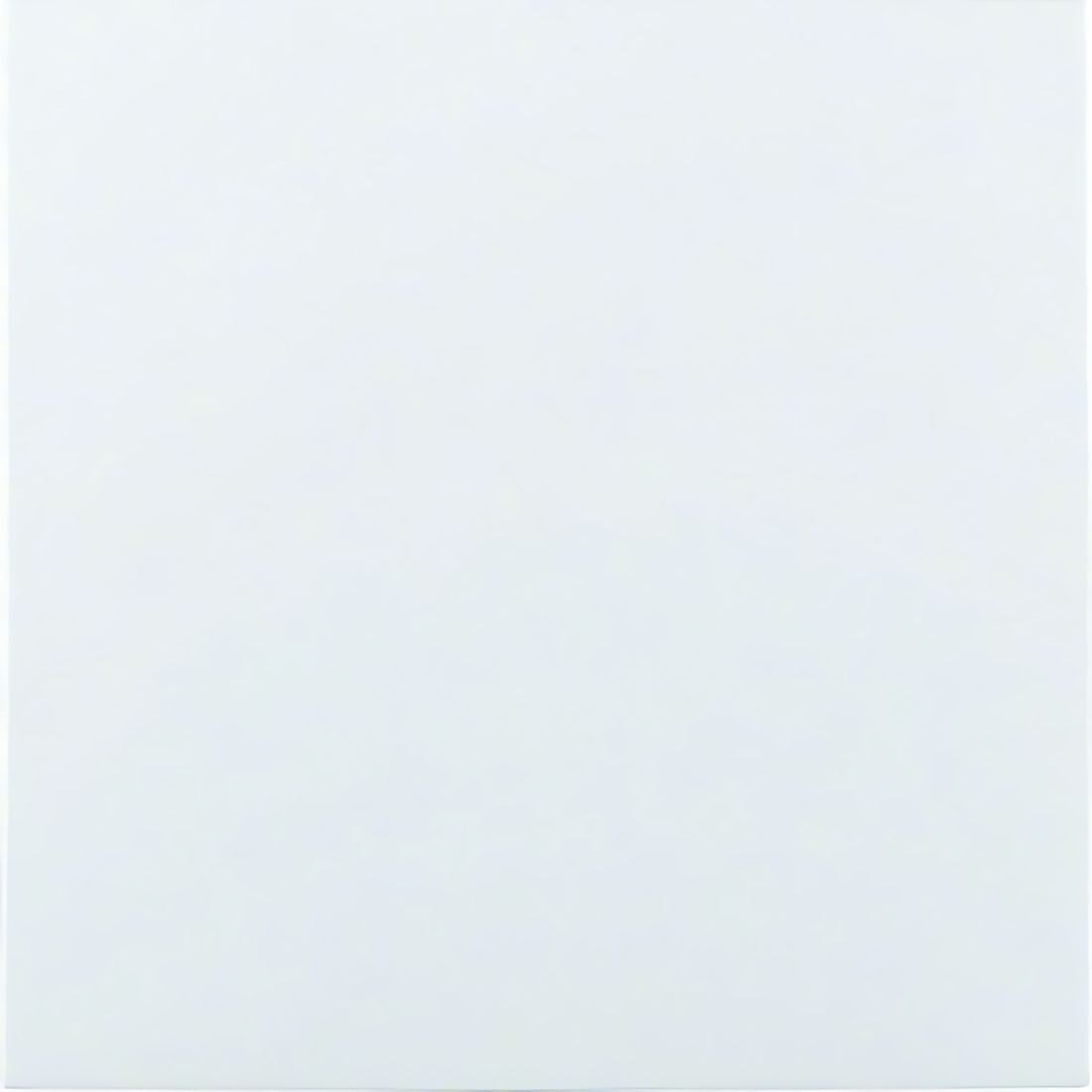 Berker Blindverschluss 75940289