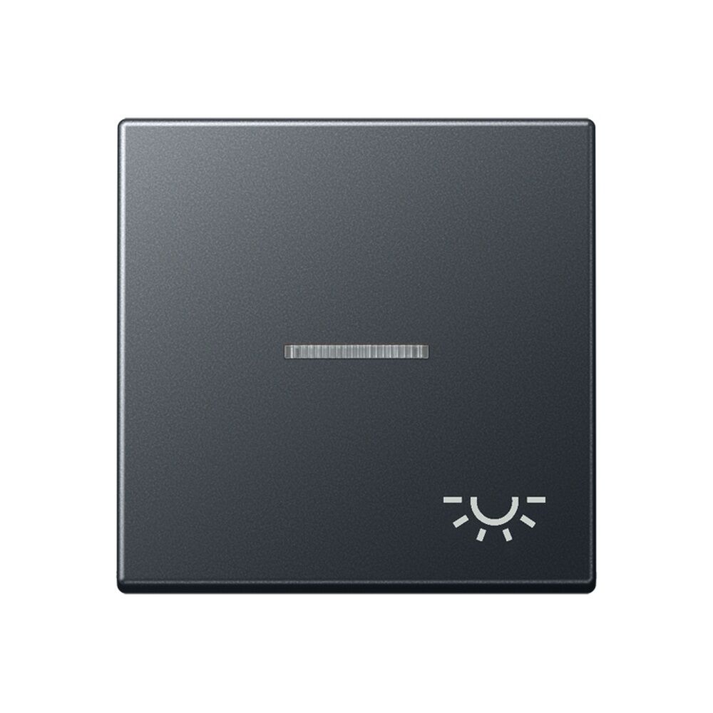 Jung Wippe A 590 BF KO5 L ANM