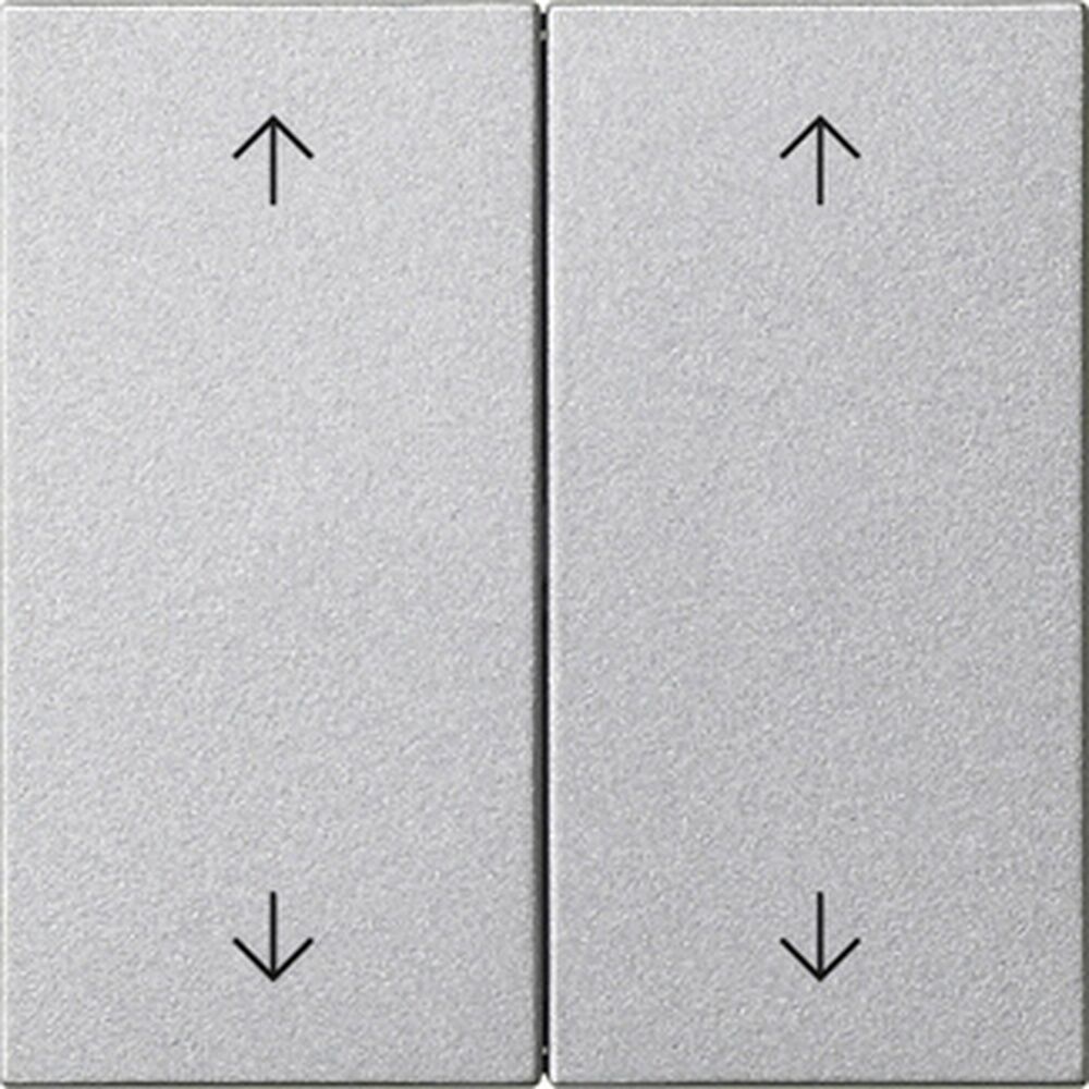 Gira Wippe 2fach 538726