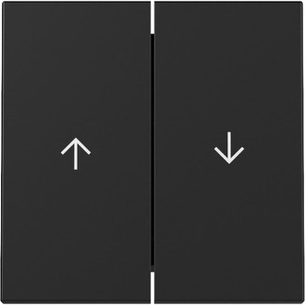 Gira Wippe 2fach 3294005