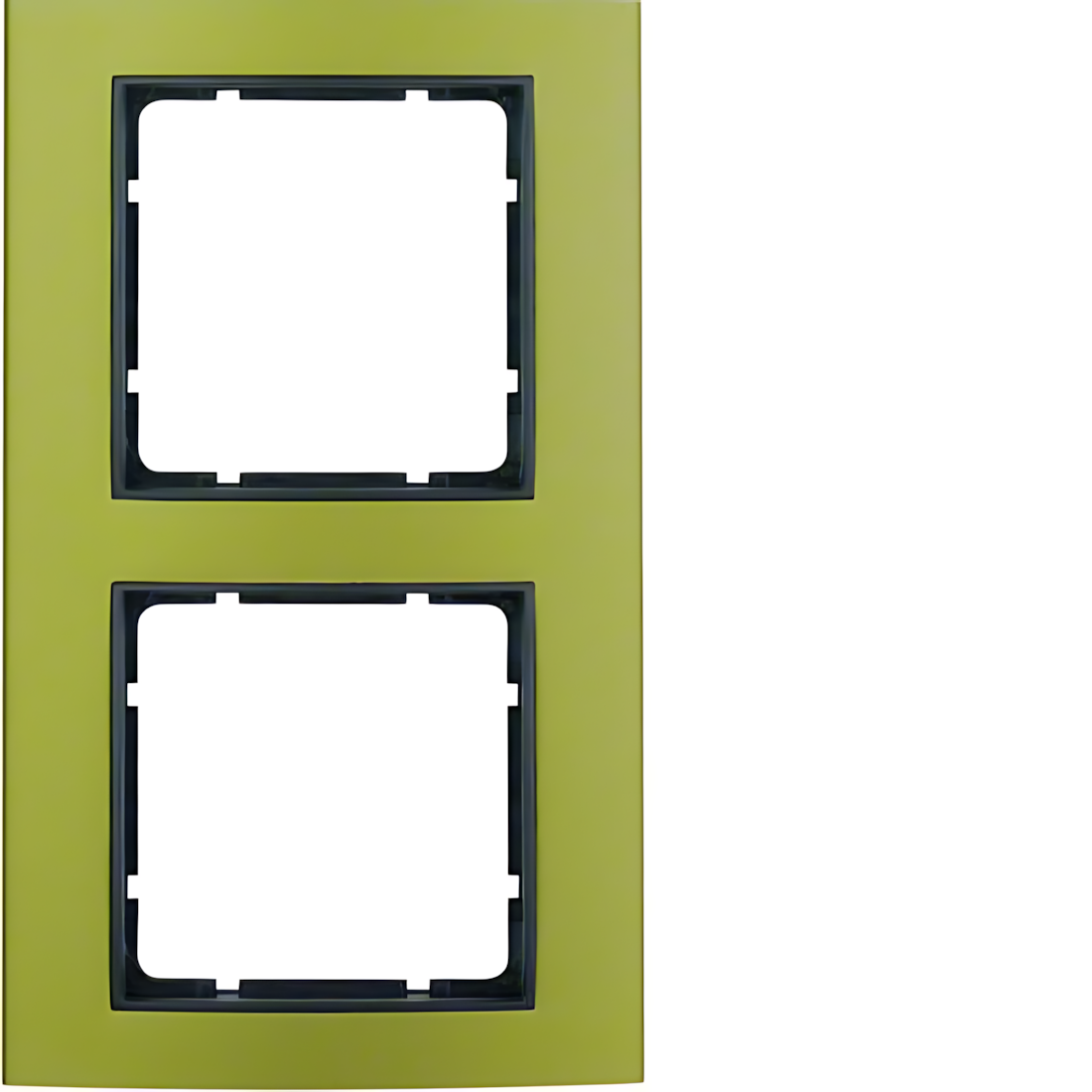 Berker 2fach Rahmen 10123016