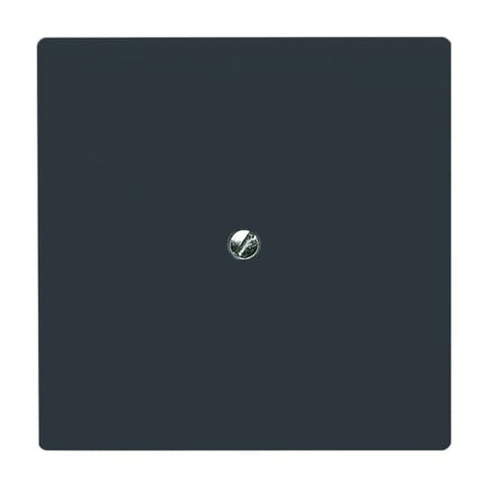 Busch-Jaeger Blindzentralscheibe 2138-35 Nr. 2CKA001710A1928