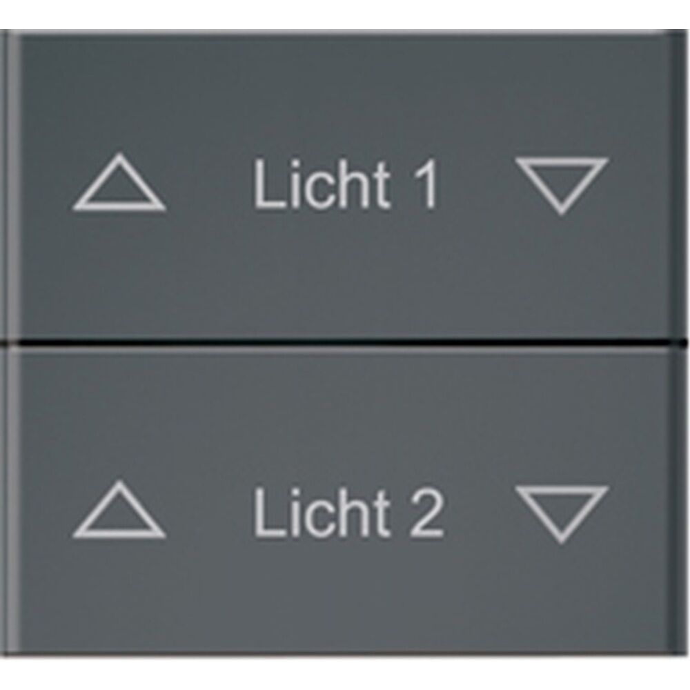 ELTAKO Doppelwippe 30000962 Typ DW-FF8-anthrazit softlackiert