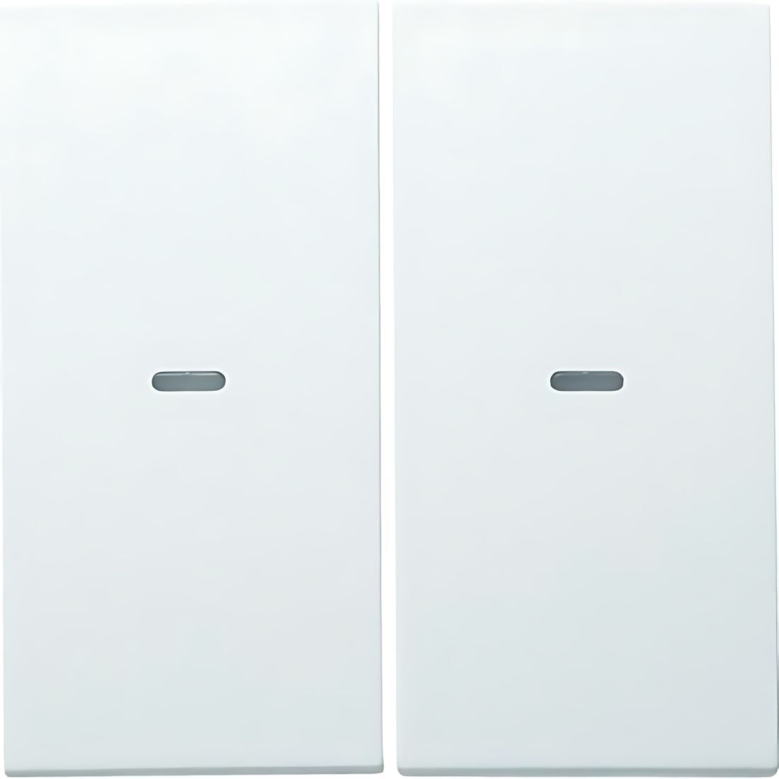 Berker Wippe 80960399