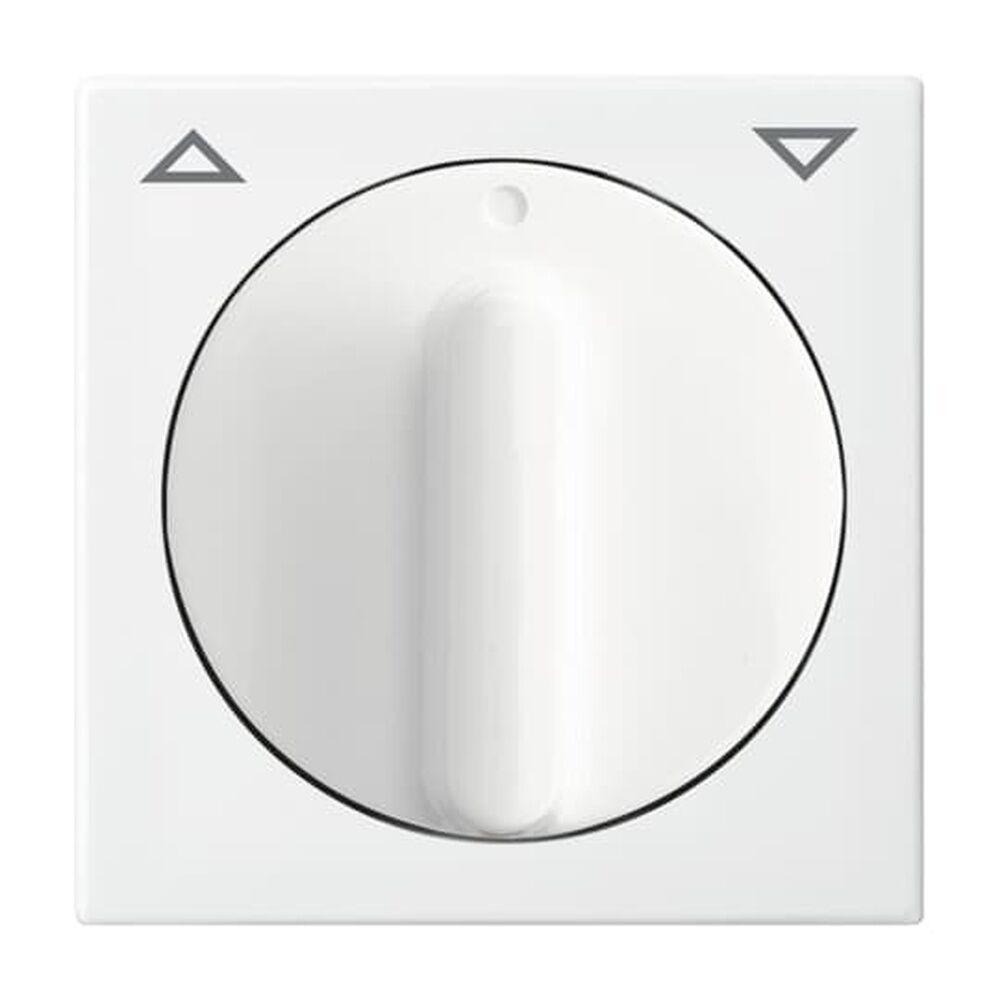 Busch-Jaeger Zentralscheibe 2542 DR-914 Nr. 2CKA001753A0231