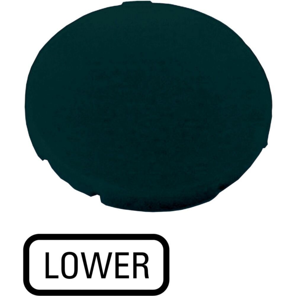 Eaton Tastenplatte 218209 Typ M22-XD-S-GB18